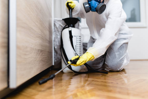Best Cockroach Control Services  in Uhrichsville, OH