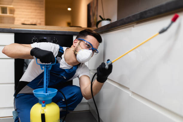 Flea Control Services in Uhrichsville, OH
