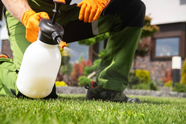 Best Termite Control Services  in Uhrichsville, OH