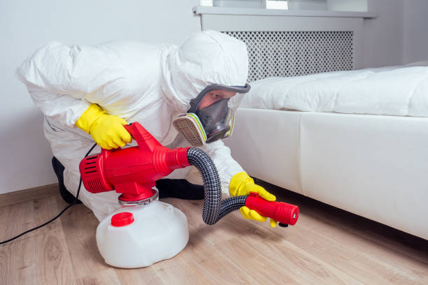 Best Affordable Exterminators  in Uhrichsville, OH