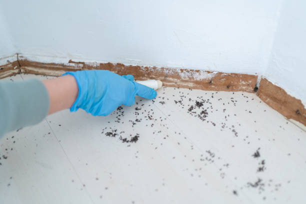 Best Pest Inspection Near Me  in Uhrichsville, OH