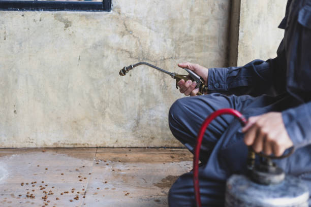 Best Pest Control Near Me in Uhrichsville, OH